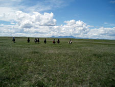 Canada-Alberta-High Plains Drifter Ride